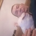 --,   , 59 ,   