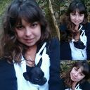 ���������� ����, ���� ������� �����������, 43 ����, ������������ ��� ������, ����� � ���������, ���������