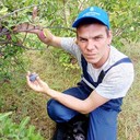 ���������� ����, ���� ������� ������, 35 ���, ������������ ��� ������, ����� � ���������, c�������� ���������