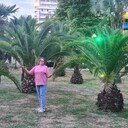  ,   , 53 ,   ,   , c , 