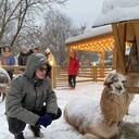 ���������� ������, ���� ������� �����, 30 ���, ������������ ��� ������