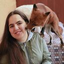 ���������� �����-���������, ���� ������� �����, 26 ���, ������������ ��� ������, ����� � ���������, c�������� ���������