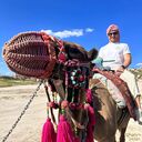 ���������� ������, ���� ������� ������, 36 ���, ������������ ��� ������, ����� � ���������, c�������� ���������, ���������