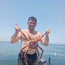 ���������� �����������, ���� ������� ����, 36 ���, ������������ ��� ������, ����� � ���������, c�������� ���������