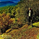 ���������� �����������, ���� ������� BLACK WOLF, 33 ����, ������������ ��� ������, ����� � ���������