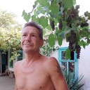  ,   , 55 ,     , c 
