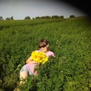 ���������� ������, ���� ������� ����, 37 ���, ������������ ��� ������, ����� � ���������, c�������� ���������