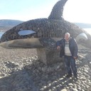 ���������� ������, ���� ������� ����, 43 ����, ������������ ��� ������, ����� � ���������, c�������� ���������