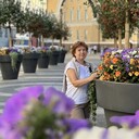 ���������� ���������, ���� ������� ����, 55 ���, ������������ ��� ������, ����� � ���������, ���������