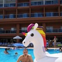 ���������� ������, ���� ������� ���������, 42 ����, ������������ ��� ������, ����� � ���������, c�������� ���������