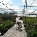 ���������� �����������, ���� ������� ����, 57 ���, ������������ ��� ������, ����� � ���������