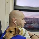 ���������� ������, ���� ������� ������, 45 ���, ������������ ��� ����� � ���������, c�������� ���������