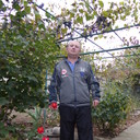  ,   , 42 ,   