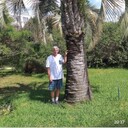  ,   , 65 ,     , c 