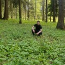 ���������� ��������, ���� ������� �����, 31 ���, ������������ ��� ������, ����� � ���������, c�������� ���������, ���������