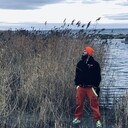 ���������� ������, ���� ������� ����, 38 ���, ������������ 