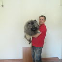  ,   , 50 ,   ,   , c , 