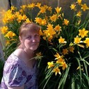  ,   , 49 ,   c 
