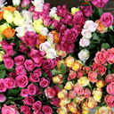 ���������� �������, ���� ������� ����, 35 ���, ������������ ��� ������, ����� � ���������, c�������� ���������