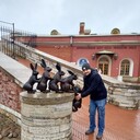 ���������� ������, ���� ������� ������, 40 ���, ������������ ��� ������, ����� � ���������, c�������� ���������, ���������