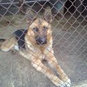 ���������� ���������, ���� ������� ������, 60 ���, ������������ ��� ������, ����� � ���������, c�������� ���������