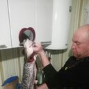  ,   , 43 ,   ,   , c 