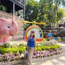 ���������� ����������, ���� ������� ������, 49 ���, ������������ ��� ������, ����� � ���������