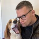 ���������� �����-���������, ���� ������� ������, 38 ���, ������������ ��� ������, ����� � ���������, c�������� ���������