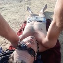 ���������� ������, ���� ������� ����, 37 ���, ������������ ��� ������, ����� � ���������, c�������� ���������