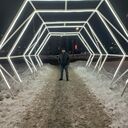 ���������� ����������, ���� ������� �����, 38 ���, ������������ ��� ������, ����� � ���������, c�������� ���������