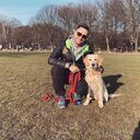 ���������� ���������, ���� ������� �����, 33 ����, ������������ ��� ������, ����� � ���������, c�������� ���������, ���������