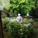 ���������� �����, ���� ������� ����������, 63 ����, ������������ ��� ����� � ���������, c�������� ���������