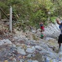 ���������� ����������, ���� ������� ������, 36 ���, ������������ ��� ������, ����� � ���������, c�������� ���������