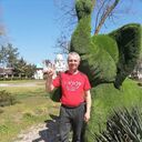 ���������� ��������, ���� ������� ������, 40 ���, ������������ ��� ����� � ���������