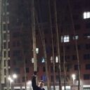 ���������� �������, ���� ������� ����, 41 ���, ������������ ��� c�������� ���������