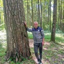  ,   , 65 ,   ,   