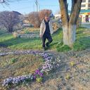 ���������� ����������, ���� ������� �������, 49 ���, ������������ ��� c�������� ���������