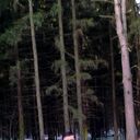 ���������� ������, ���� ������� �����, 35 ���, ������������ ��� ������, ����� � ���������