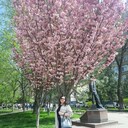  --,   , 28 ,   ,   , c , 