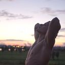 ���������� �������, ���� ������� Stas, 37 ���, ������������ ��� ������, ����� � ���������, c�������� ���������, ���������