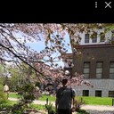 ���������� ���������, ���� ������� ��������, 41 ���, ������������ ��� c�������� ���������