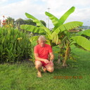 ���������� ��������, ���� ������� ��������, 64 ����, ������������ ��� ������, ����� � ���������