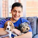 ���������� ����������, ���� ������� ����, 31 ���, ������������ ��� ������, ����� � ���������