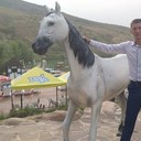 ���������� ������ ��������, ���� ������� ��������, 30 ���, ������������ ��� ������, ����� � ���������, c�������� ���������