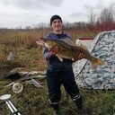 ���������� ��������, ���� ������� ���������, 45 ���, ������������ ��� ����� � ���������, c�������� ���������, ���������