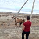 ���������� ������, ���� ������� ����, 33 ����, ������������ ��� ������, ����� � ���������