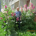  ,   , 62 ,  