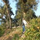  ,   Davit, 42 ,   