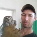 ���������� ���������, ���� ������� �������, 39 ���, ������������ ��� ������, ����� � ���������