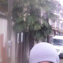  ,   , 40 ,  